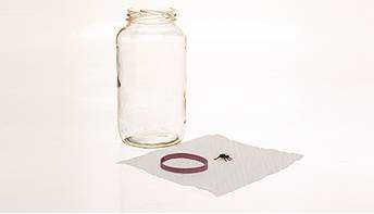 jar rubber band cloth